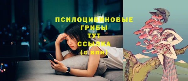 герыч Сосновоборск