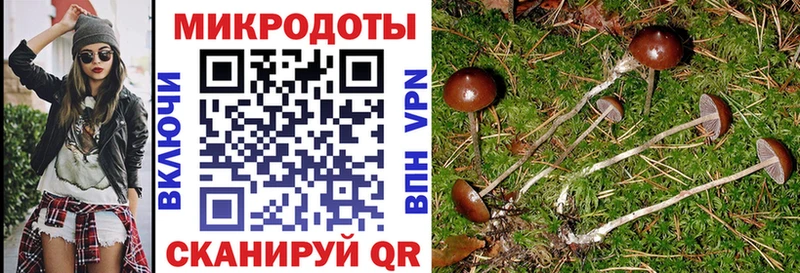 купить наркотик  Заволжье  Псилоцибиновые грибы Magic Shrooms 